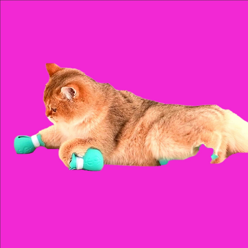 CAT Paw PROECTORS
